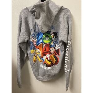 Disneyland Zip Up Adult Size S Gray Blue Hoodie Mickey Mouse Theme Park 2014